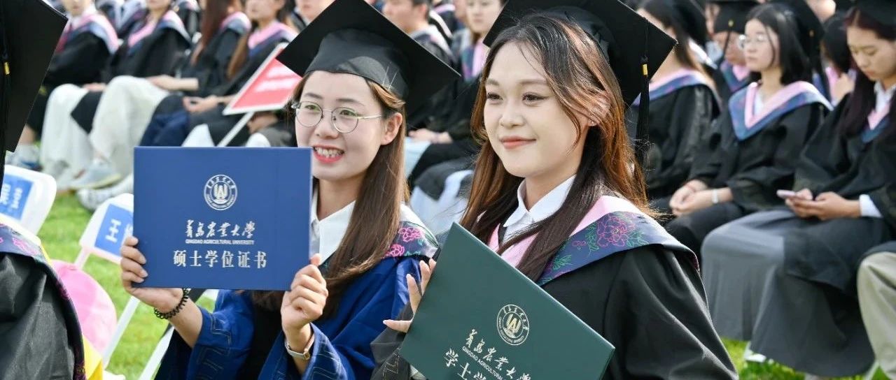 cover_image