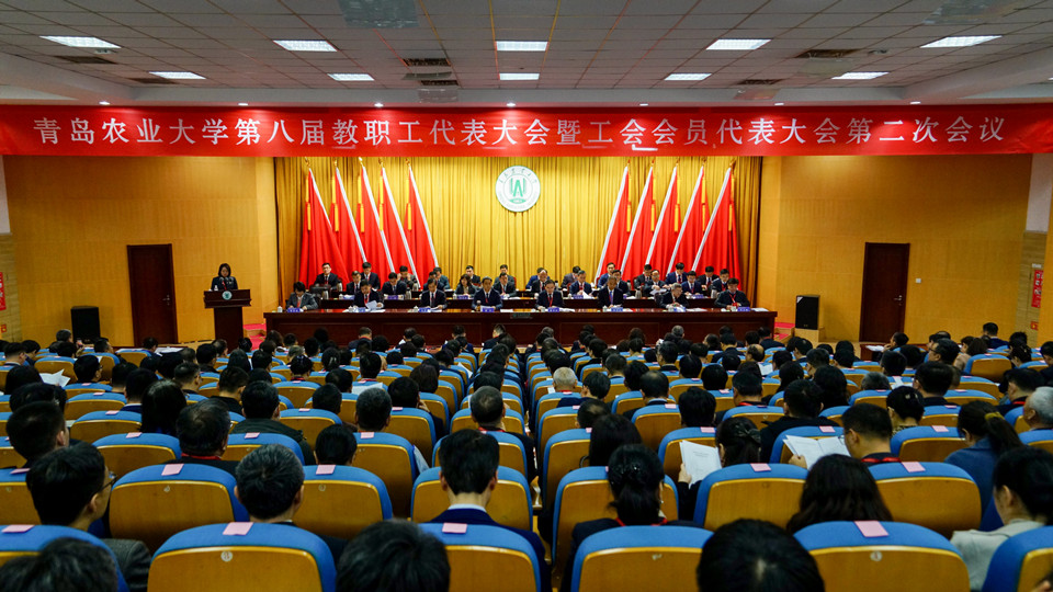 平博体育官网