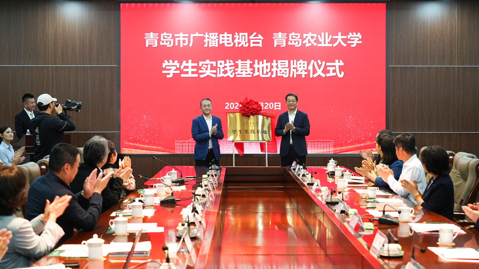 平博体育官网