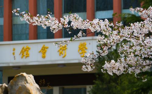 平博体育官网