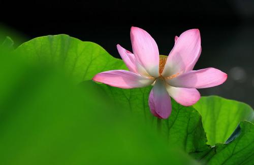 平博体育官网