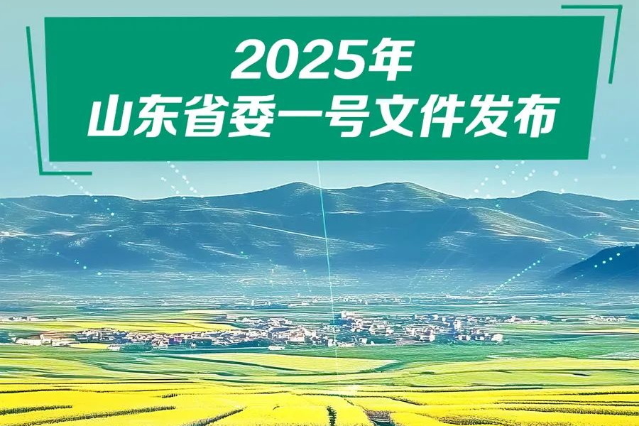 平博体育官网